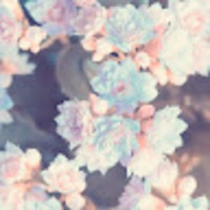 Meet your Posher, Kendall